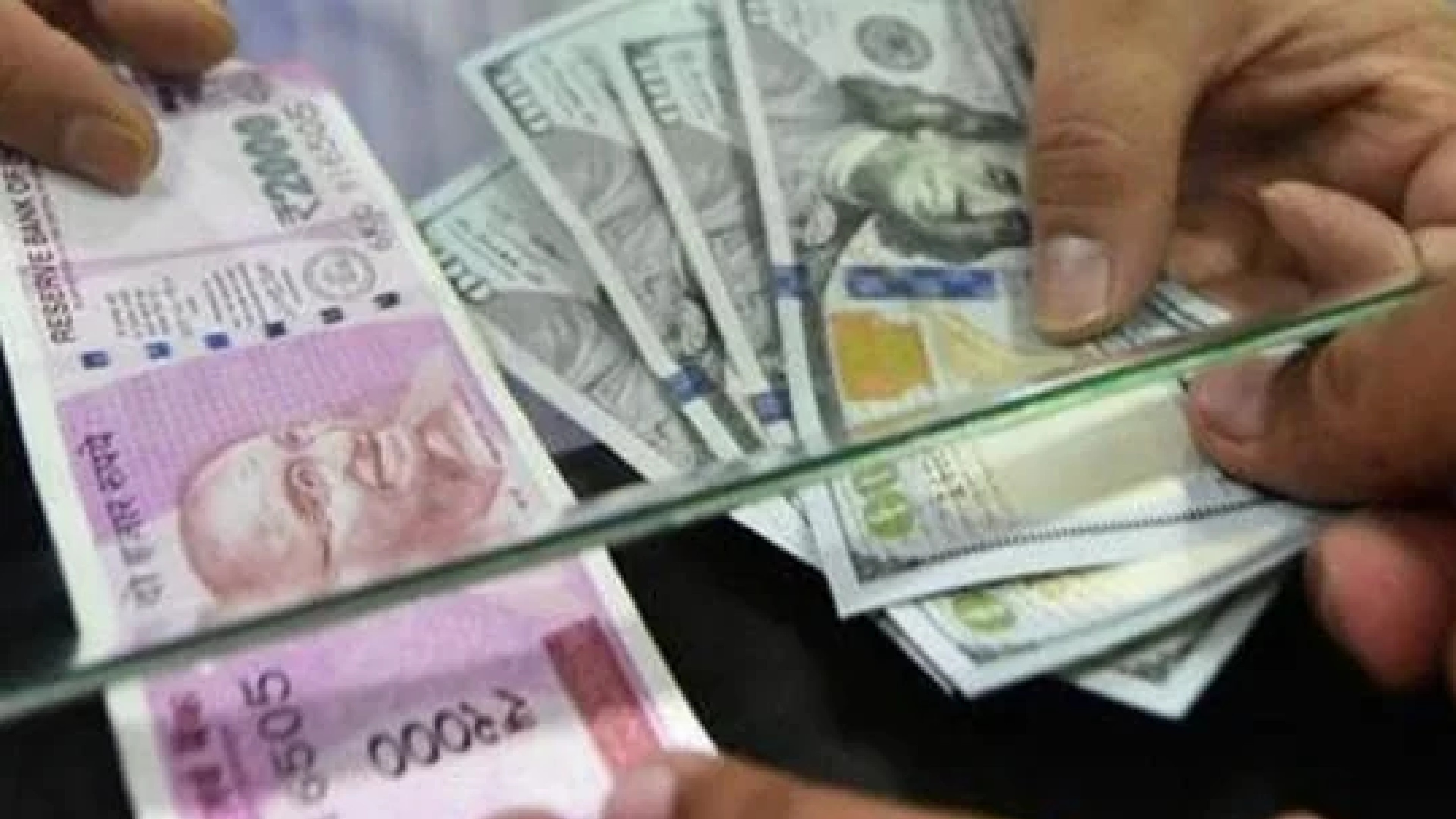 Forex reserves rise $204 mn to $532.8 bn