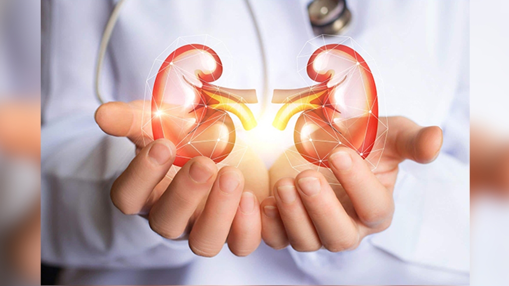 Ultrasound can move, break up kidney stones in awake patients: Study