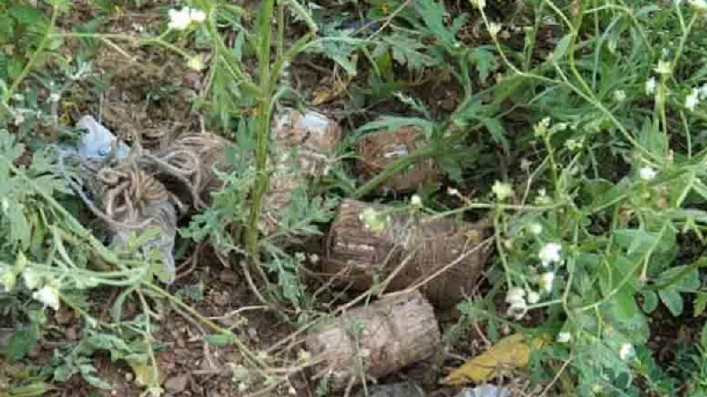 Gang hurls country bombs on 2 houses