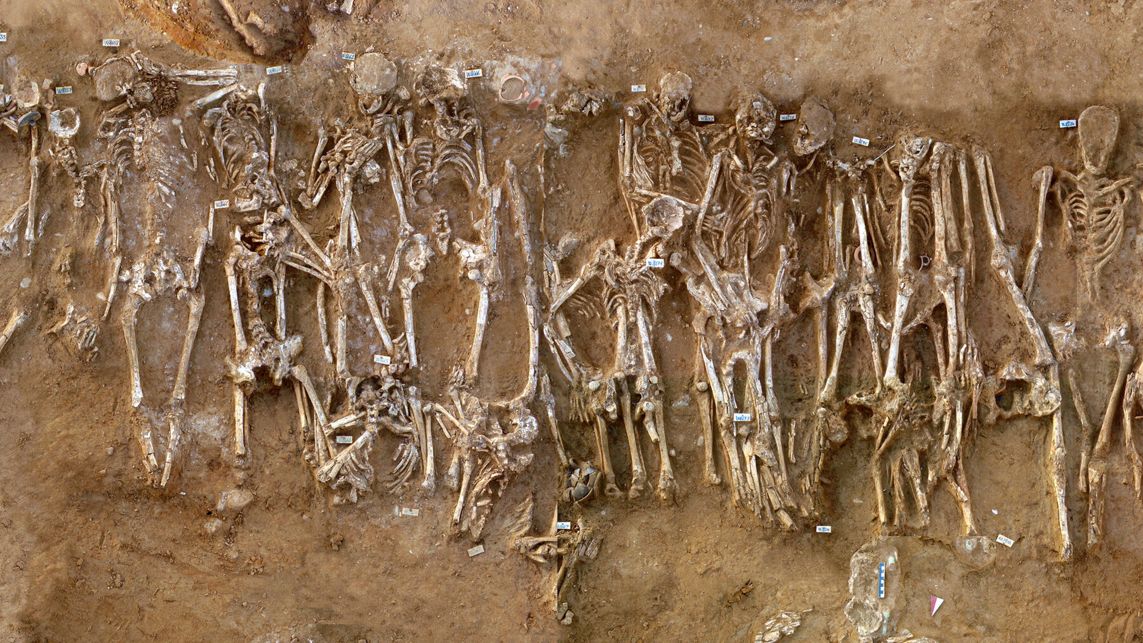 Hidden in 54 corpses, a revelation about ancient Greece