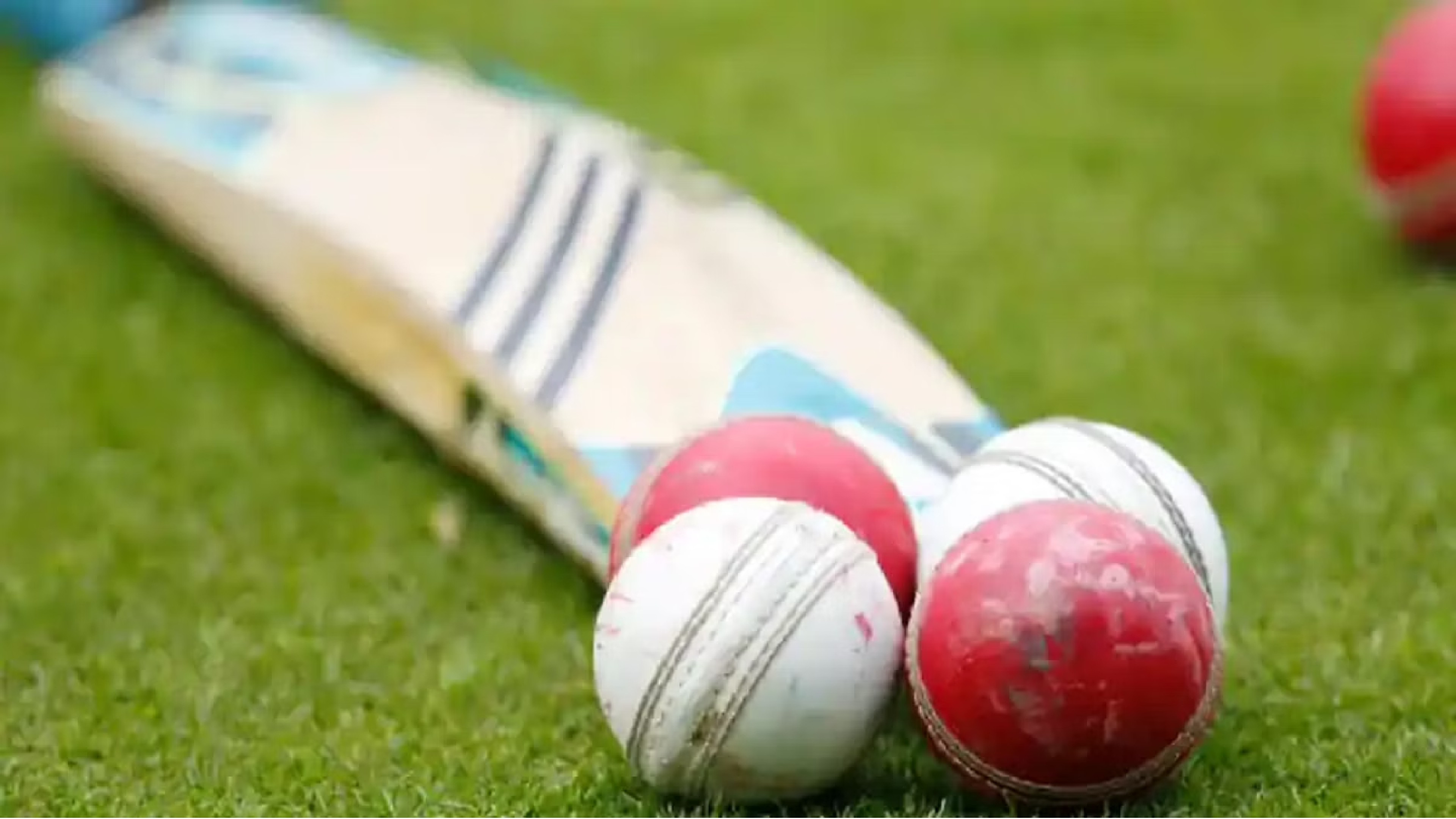 Syed Mushtaq Ali Trophy: Spinners rule the roost as TN thrashes Sikkim