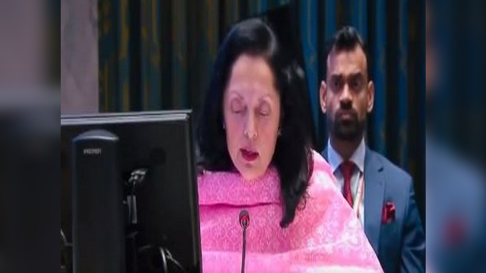 No military or armed solution to Libyas issues: India at UNSC