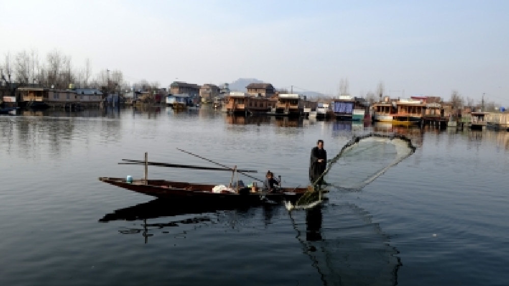 TN fisherman injured in firing by Indian Navy