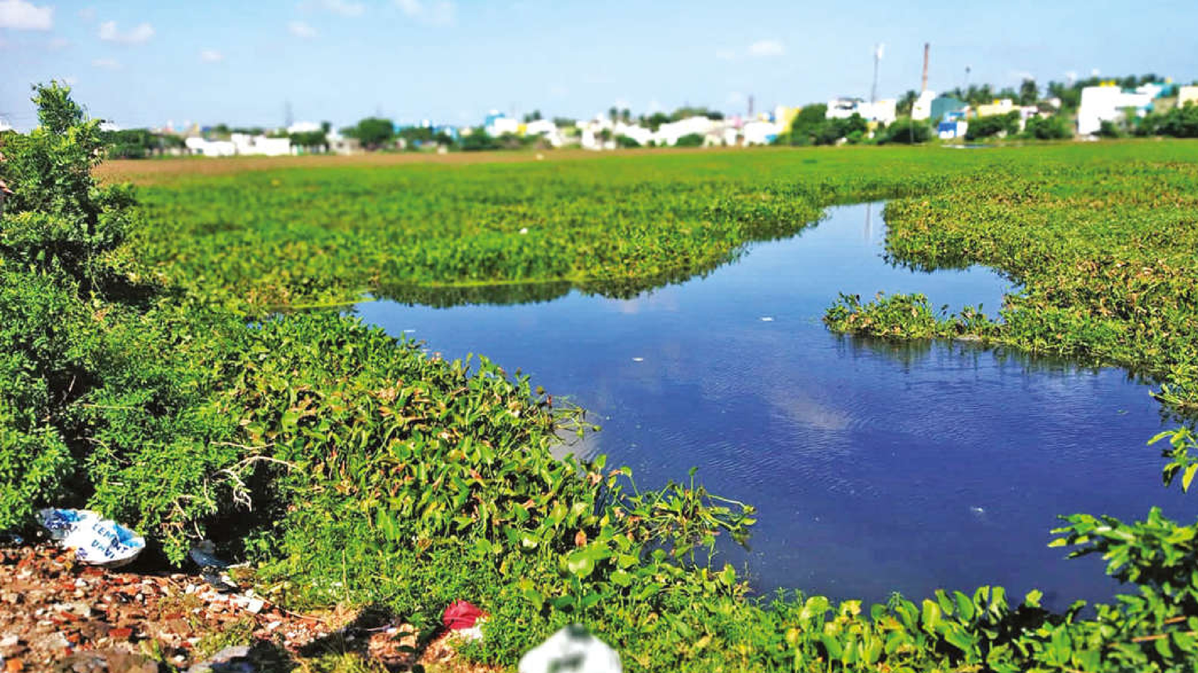Restore, desilt Mathur lake, demand residents of MMDA