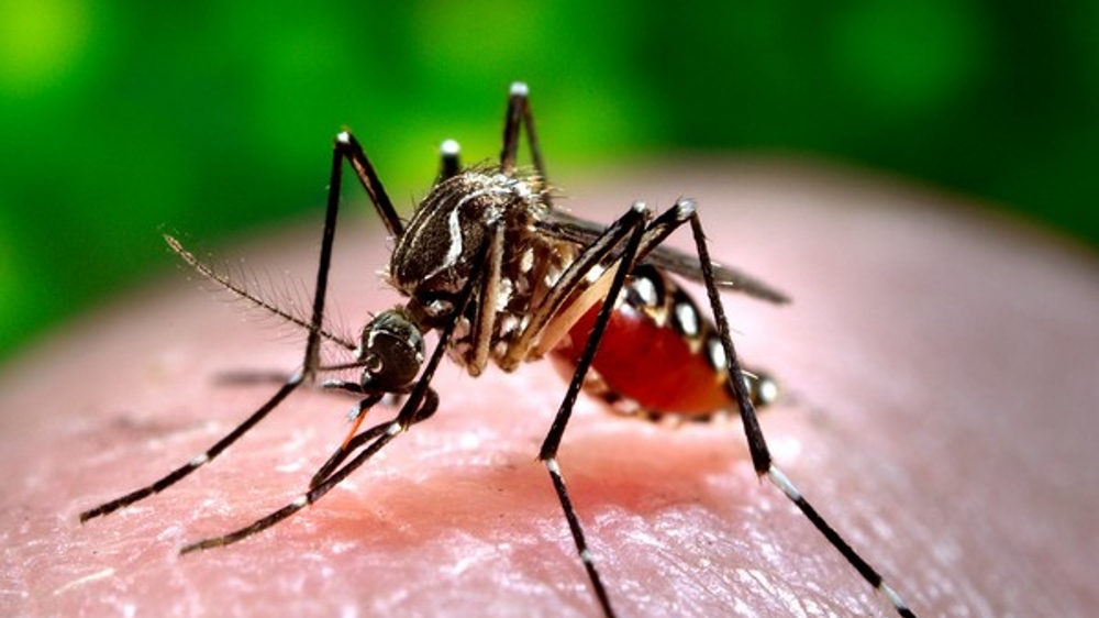 Centre rushes high-level team to manage dengue situation in UP