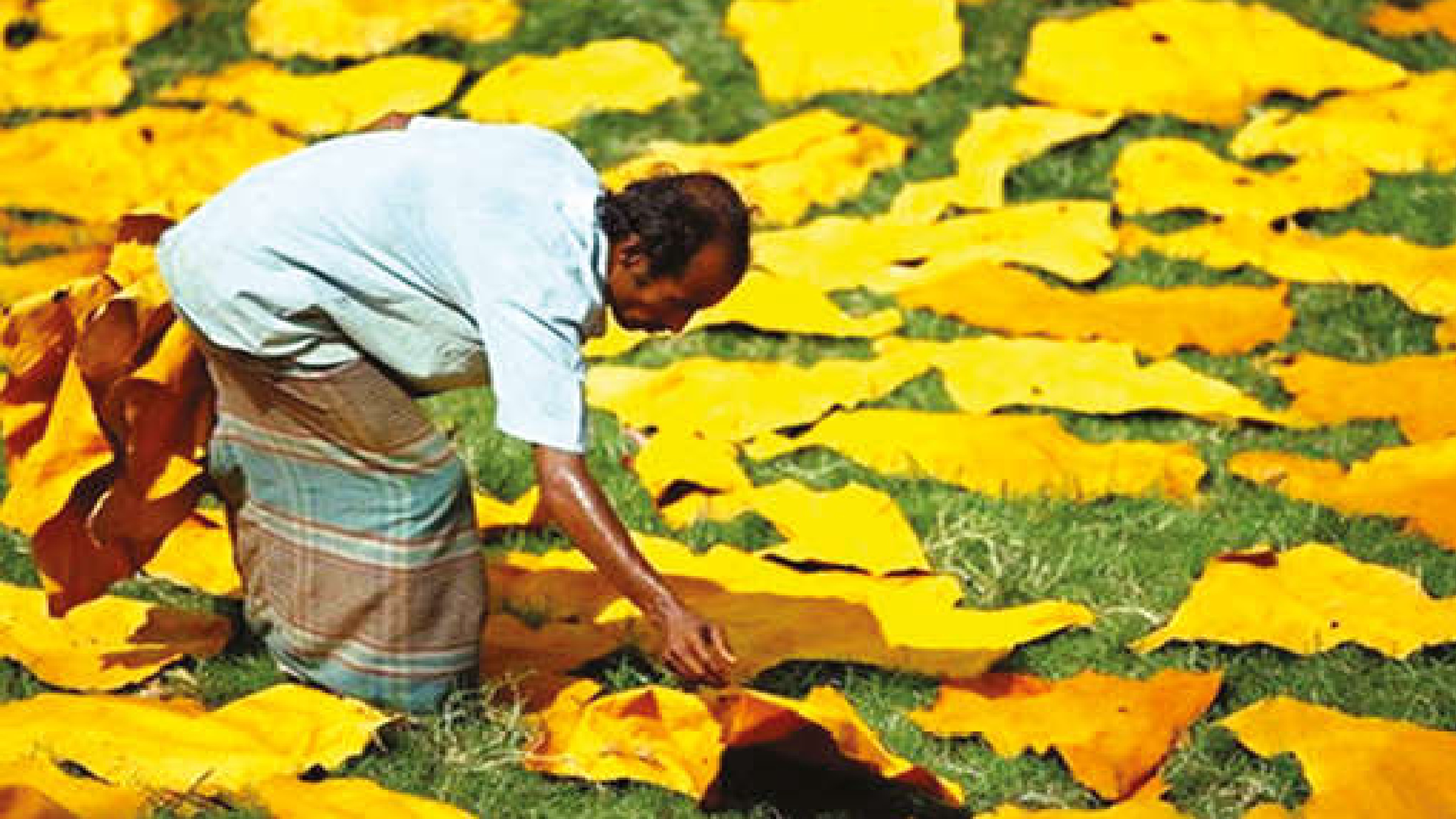 Centre considering extending Rs 35,000 cr PLI scheme to more sectors