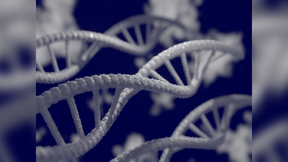 Mechanism otherwise found in metastasizing cancer cells identified