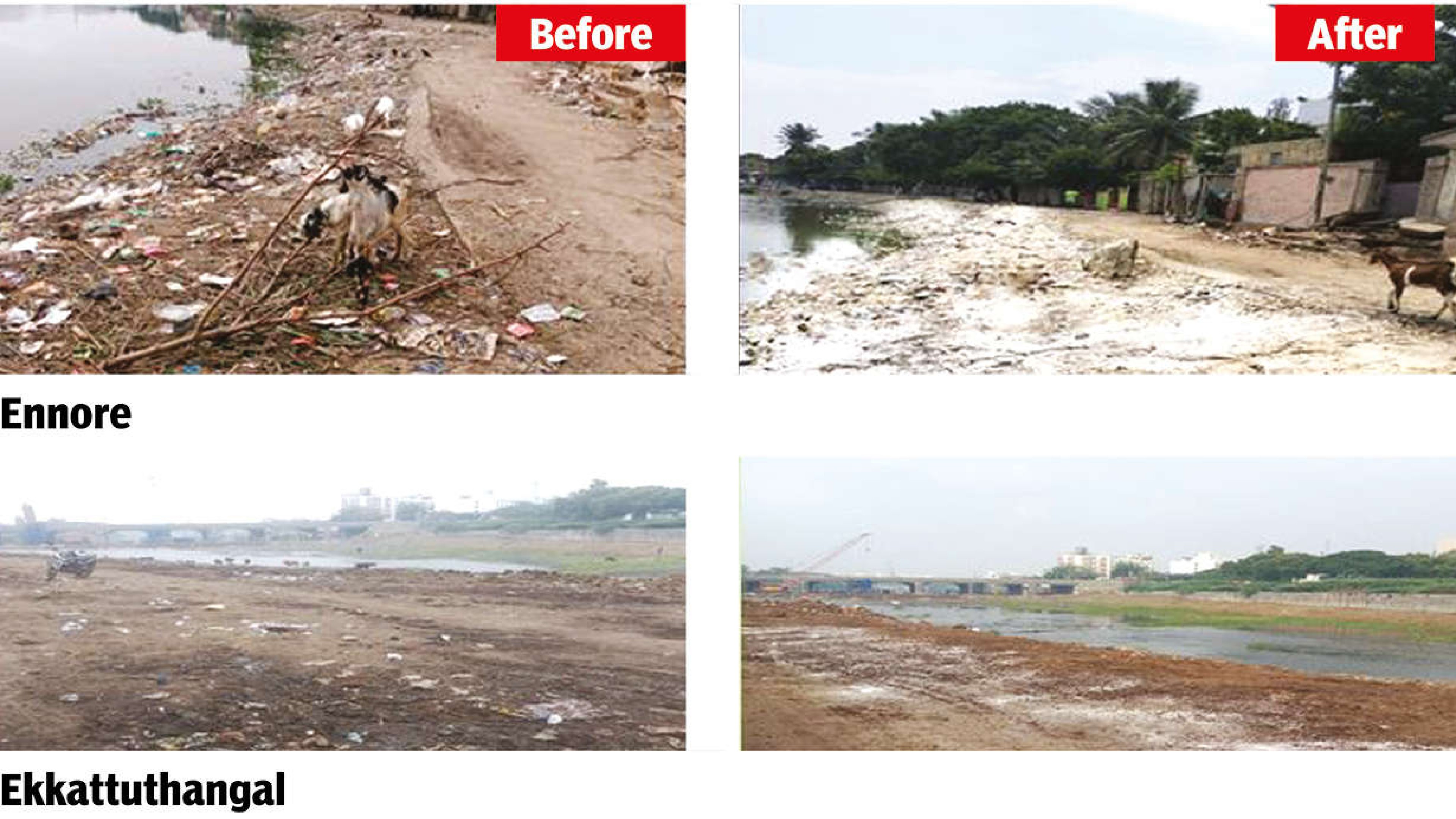 GCC conducts mass clean-up drive in lakes, canals