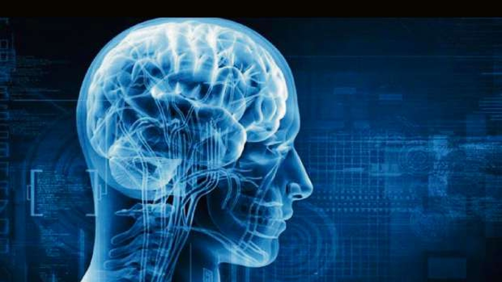 Study reveals cerebellum is important for survival