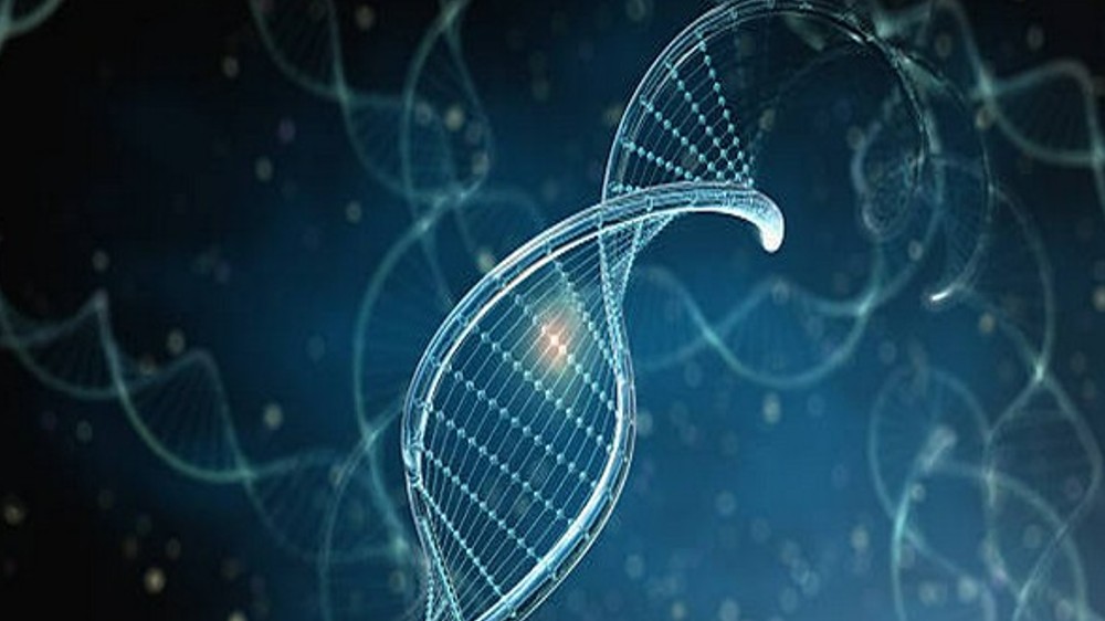 Large-scale DNA study reveals genetic links to height