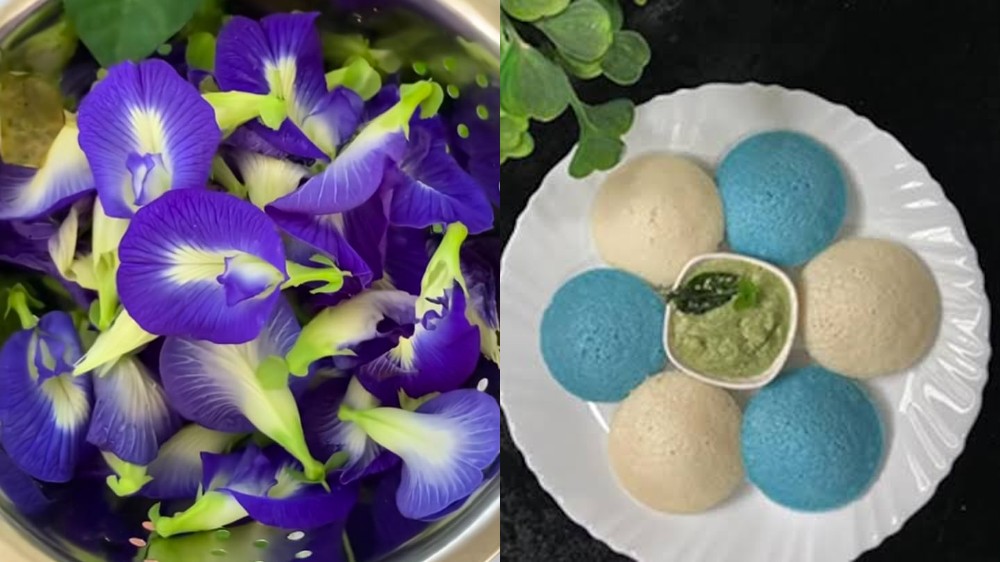 Doremon idli: Food Blogger makes idli in blue, internet goes gaga Doremon idli: Food Blogger makes idli in blue, internet goes gaga