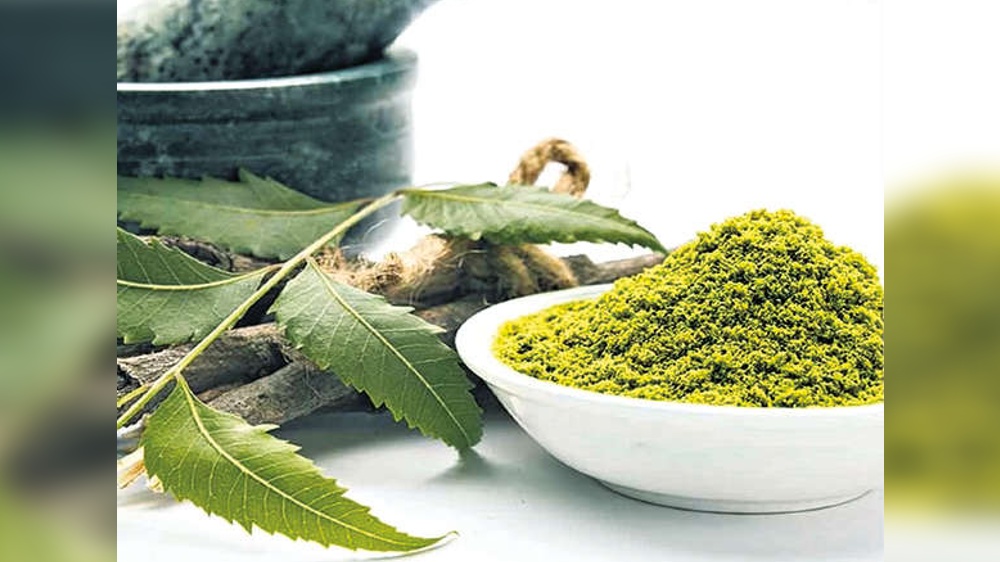 Apollo Hospitals acquires 60% stake in AyurVaid