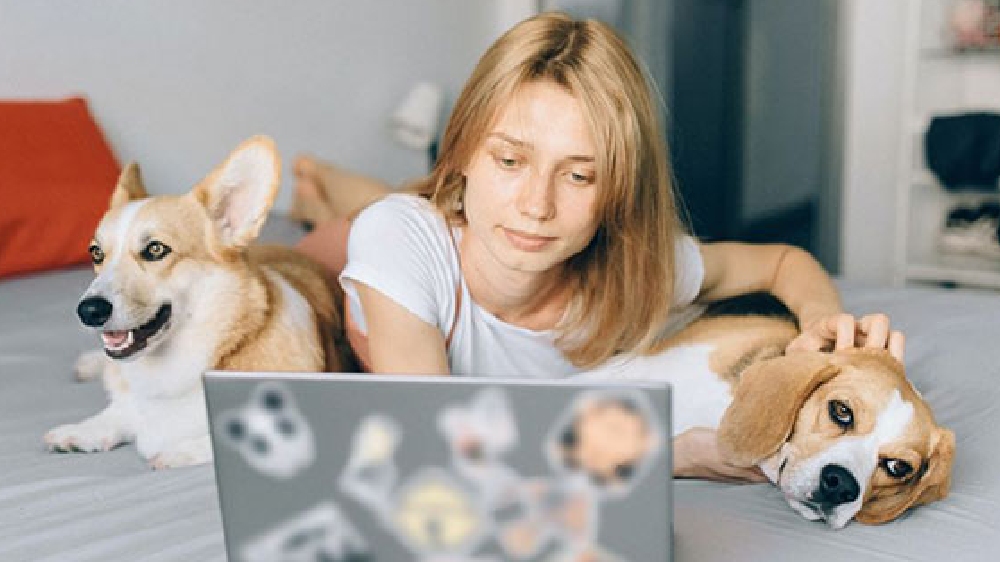 Women have a lower range of normal blood pressure than men: Study