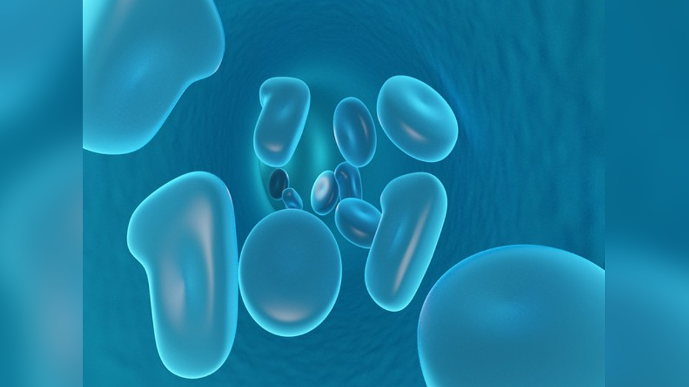 Molecular structure of receptors in immune system unravelled Molecular structure of receptors in immune system unravelled