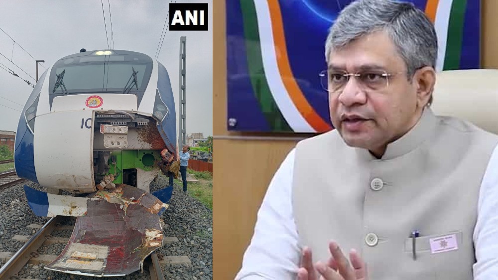 Crash with cattle unavoidable, Train designed on requirements