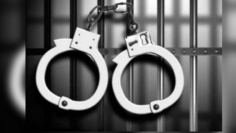 Woman who targeted shoppers in T Nagar arrested