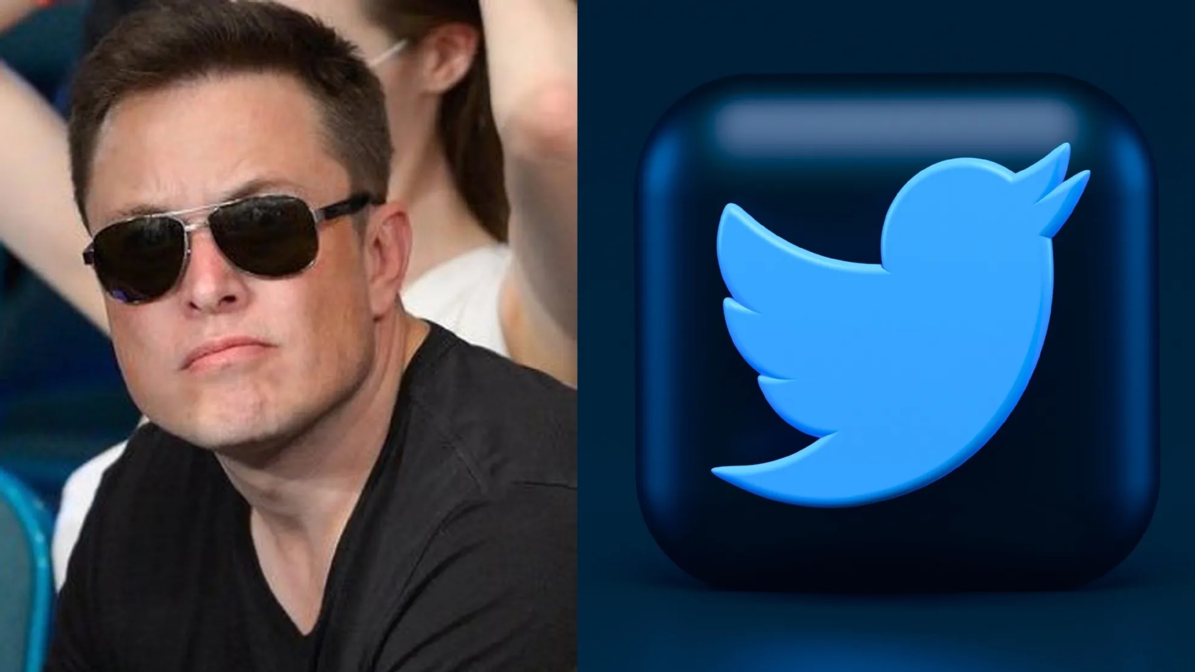 5.4 mn users data exposed online as Musk reveals Twitter 2.0