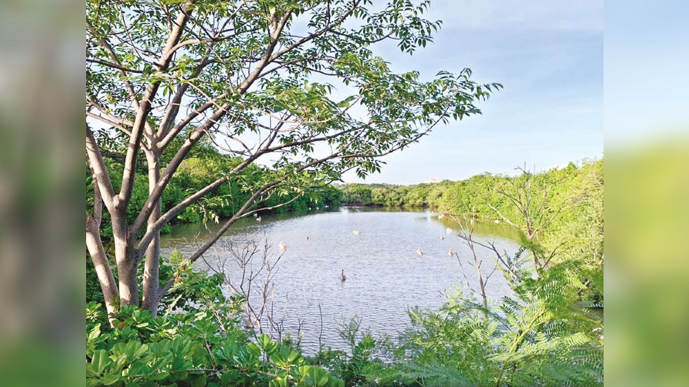 CRRT studies carbon footprint of Tholkappia Poonga CRRT studies carbon footprint of Tholkappia Poonga