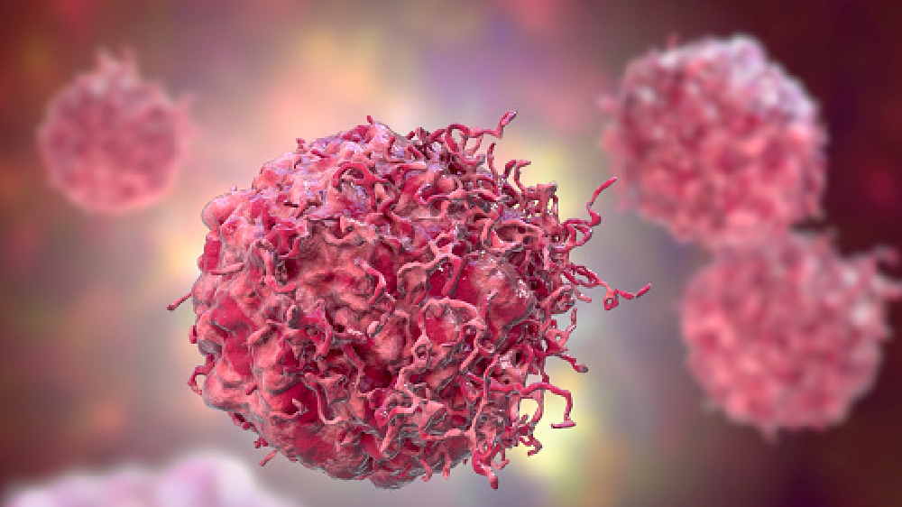 Experimental cancer vaccine shows promise in animals: Research