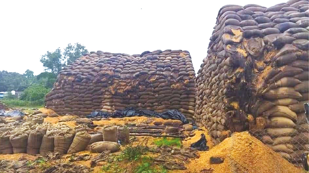 Better plan for Samba sought after bitter Kuruvai procurement