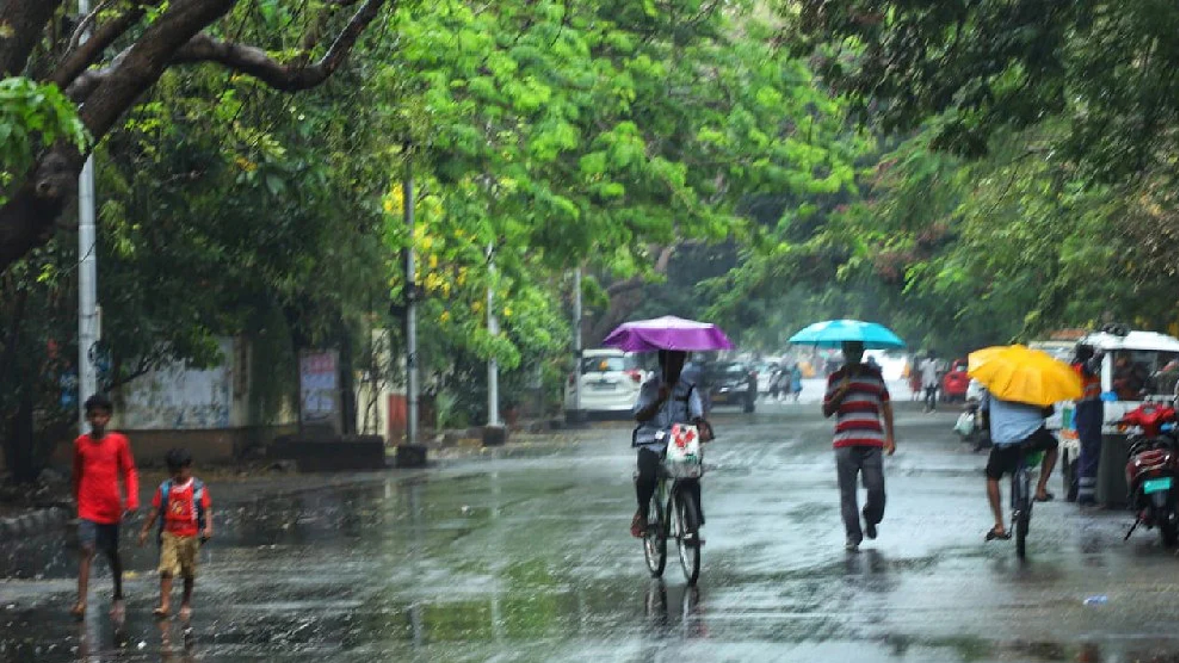 Several parts of Chennai relieved from water logging as rains pause