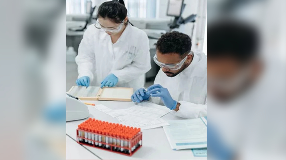 Study reveals a new approach for Alzheimers therapies