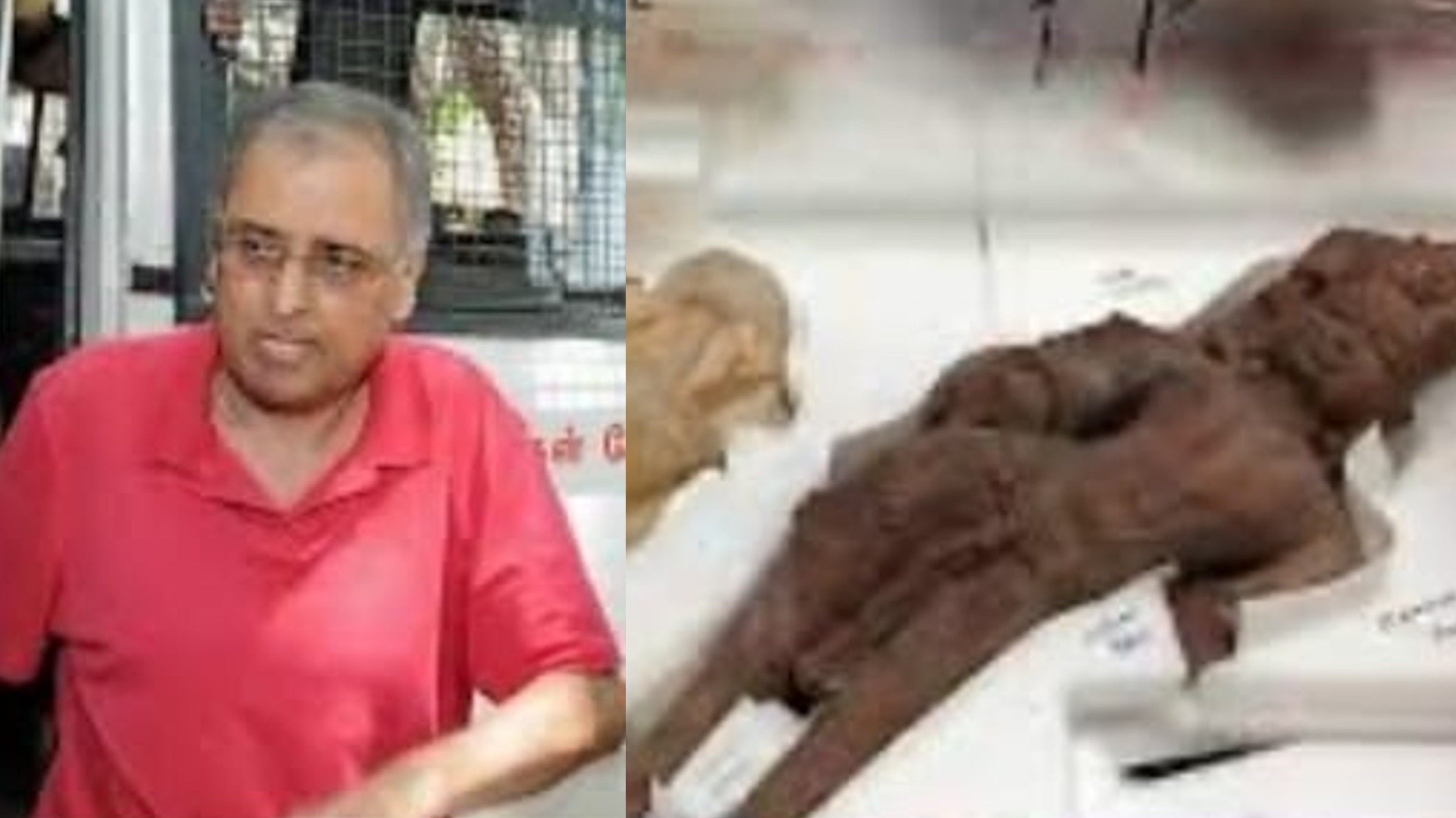 Idol smuggler Subhash Kapoor convicted, gets 13 years jail Idol smuggler Subhash Kapoor convicted, gets 13 years jail