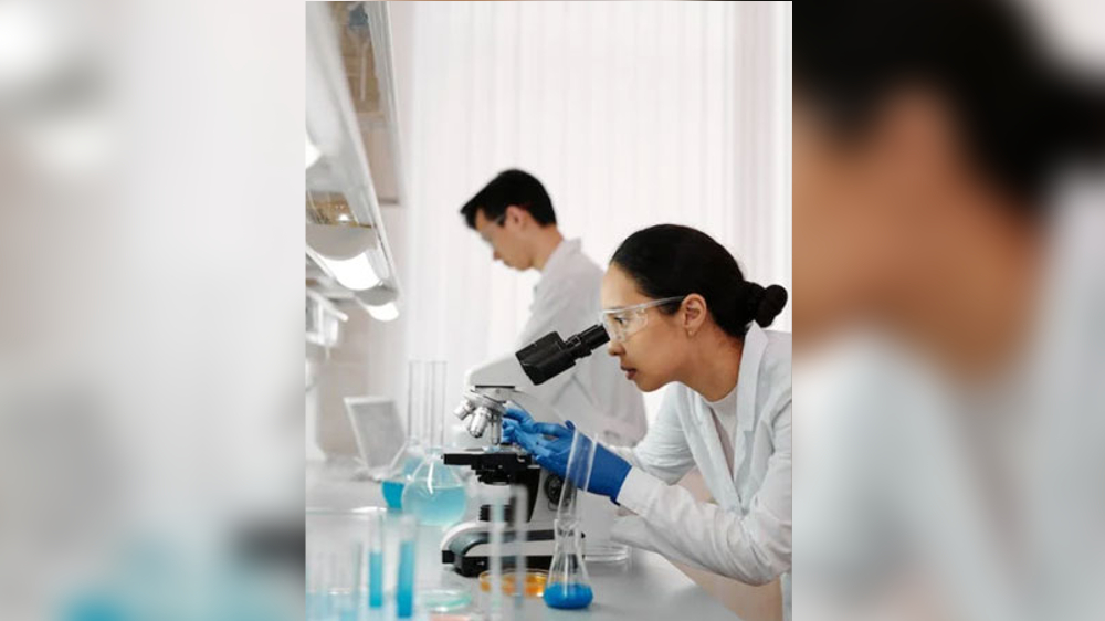 Researchers find connection between gut and cognitive impairment