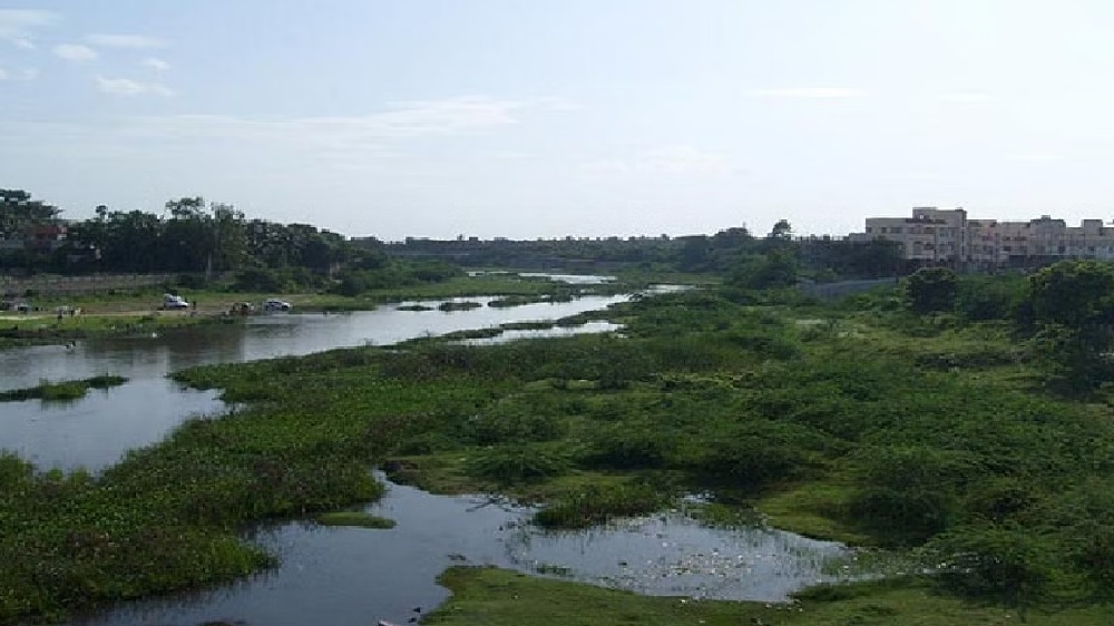 Reject reclassification of Adyar river: Arappor Iyakkam urges govt