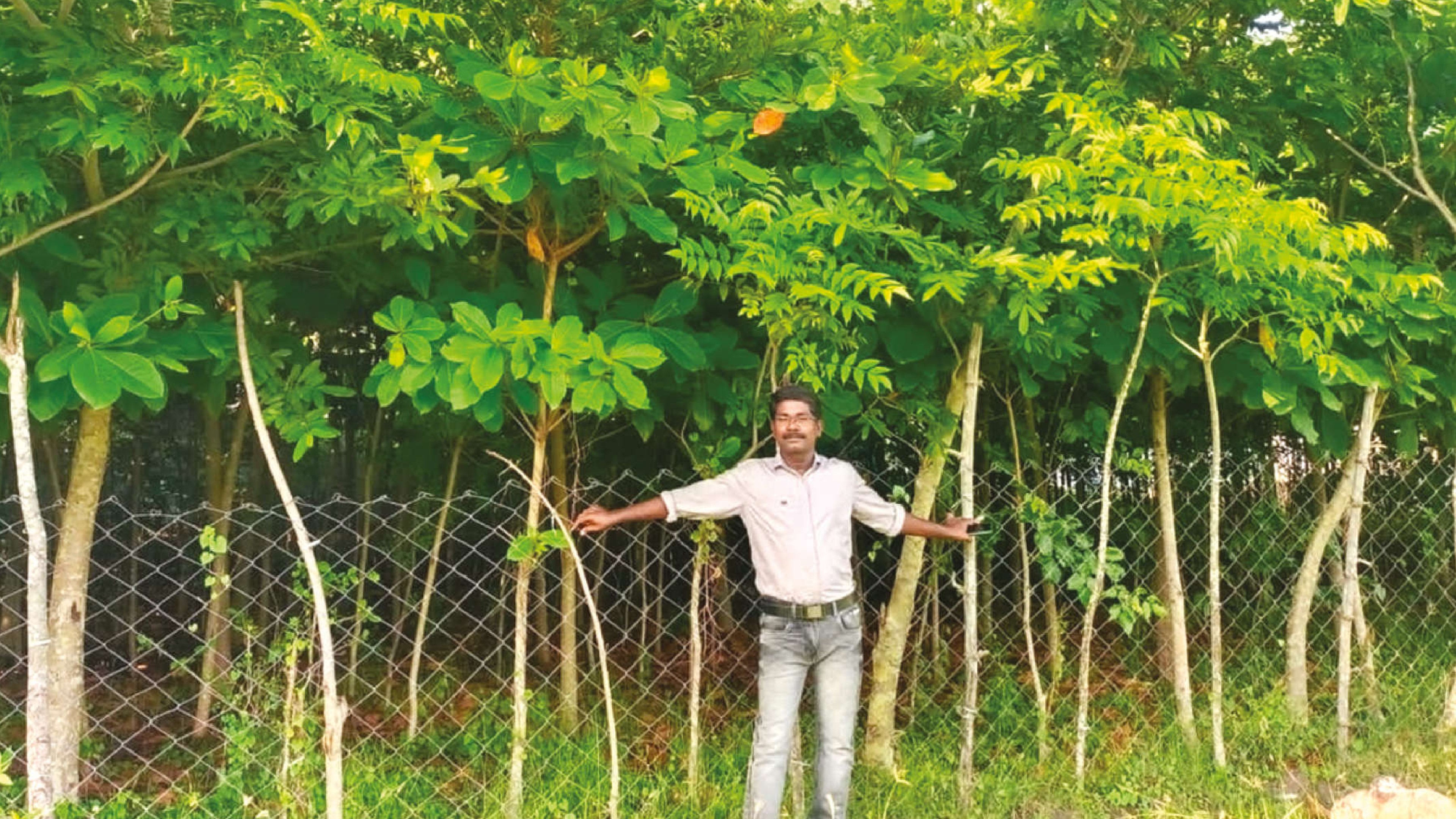 Miyawaki man Kalaimani leads afforestation efforts in central regions