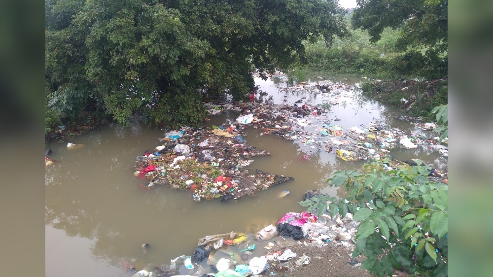 Rain washes junk into suburban lakes; raises environmental concerns