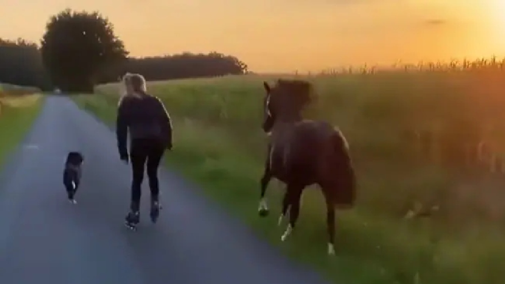 Watch: Woman skates with her pet horse and dog