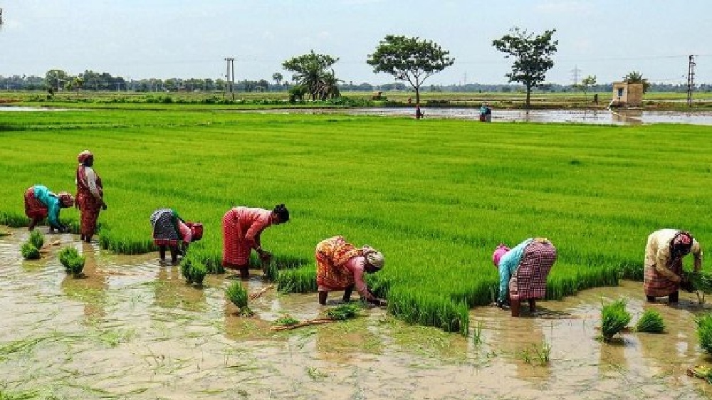 TN: 100 farmers to undergo training in Israel