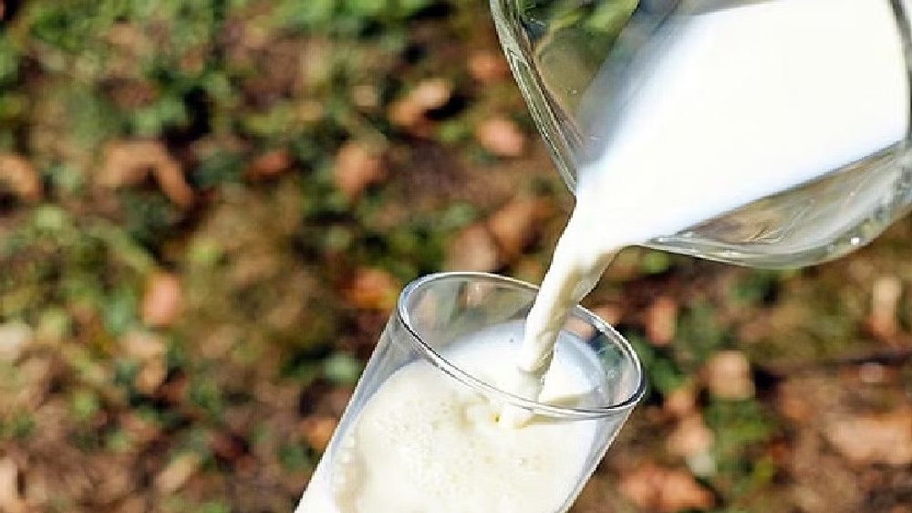 Prices of milk, curd hiked by Rs 2 in Karnataka