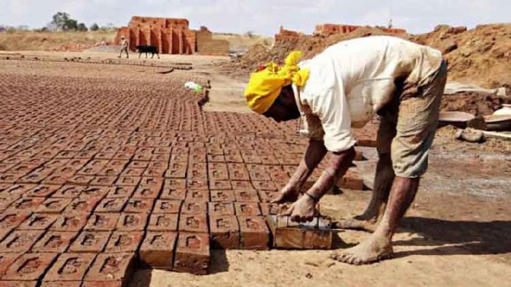 99% homeless workers not members of welfare board