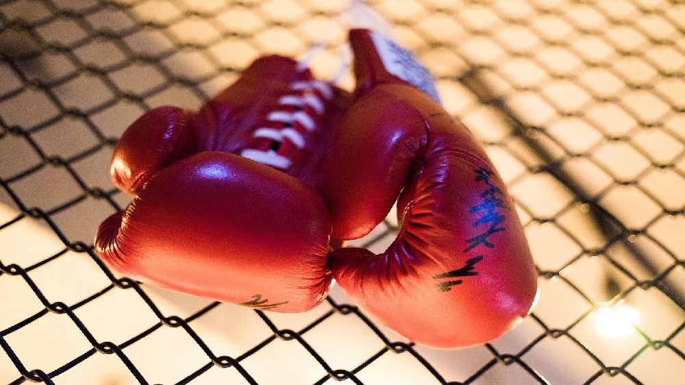 Asian Elite Boxing: Lovlina, Alfiya march into finals