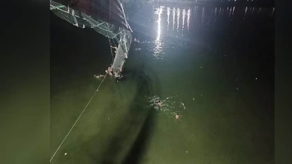 Callousness, greed responsible for bridge collapse, not tech: IIT-D experts