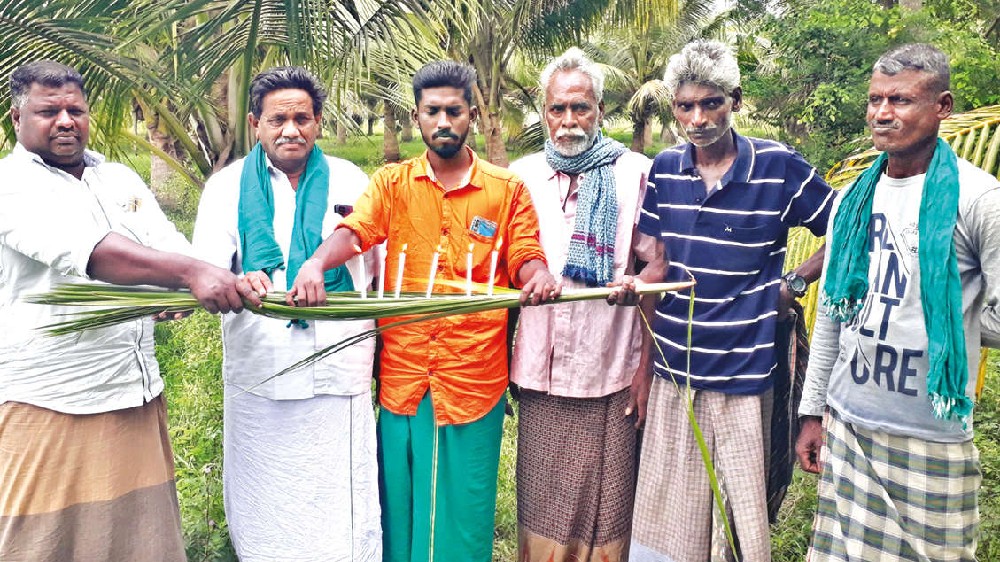 Devastation recall: Farmers, fishermen pay tribute to trees