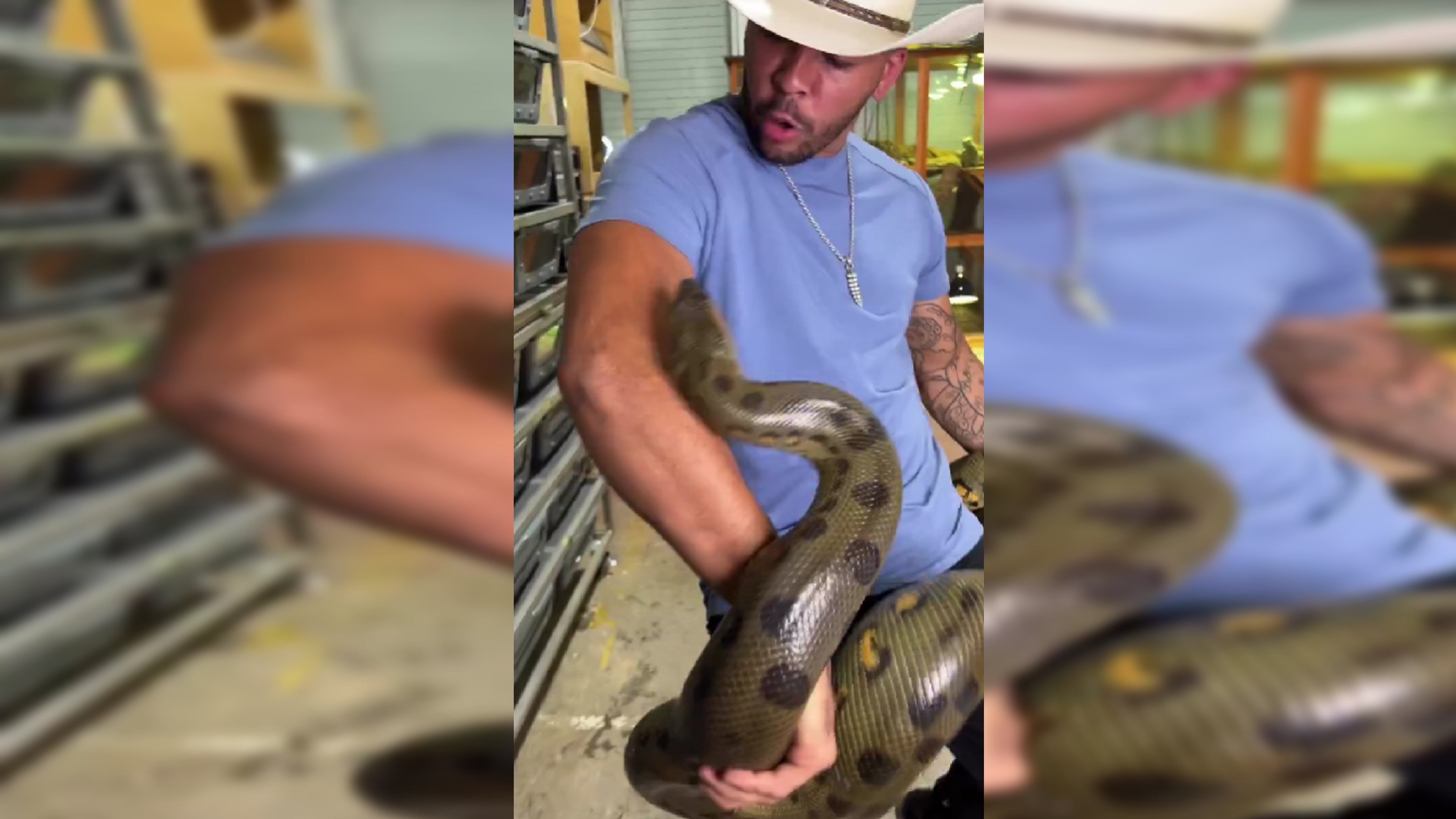 Man enjoys playing with Anaconda, see what happened next Man enjoys playing with Anaconda, see what happened next