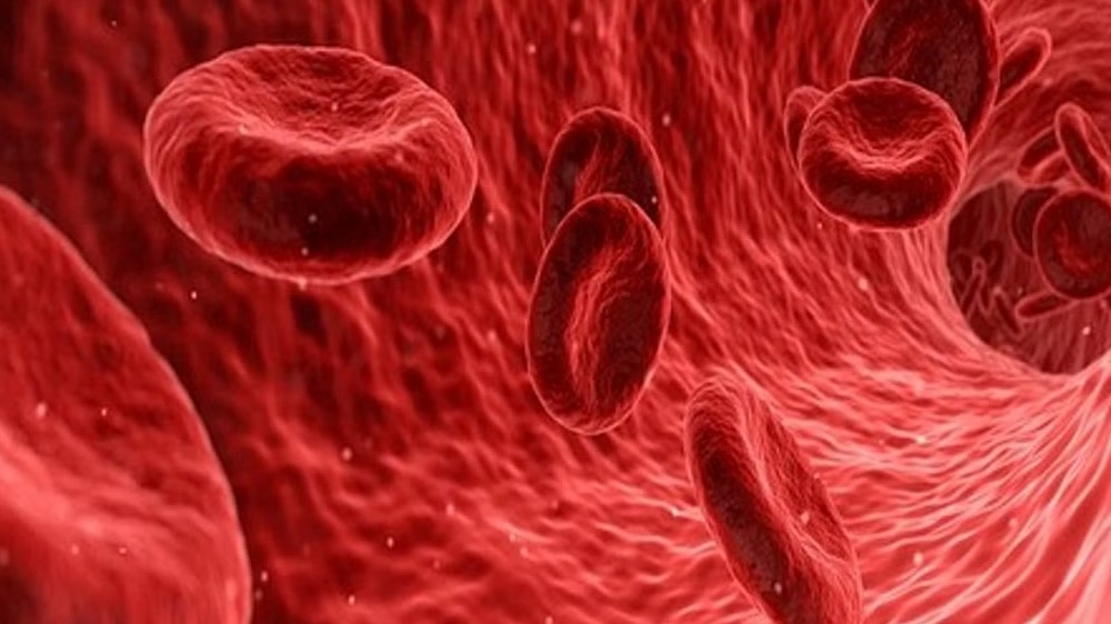 Coronary artery disease epidemic among Indians