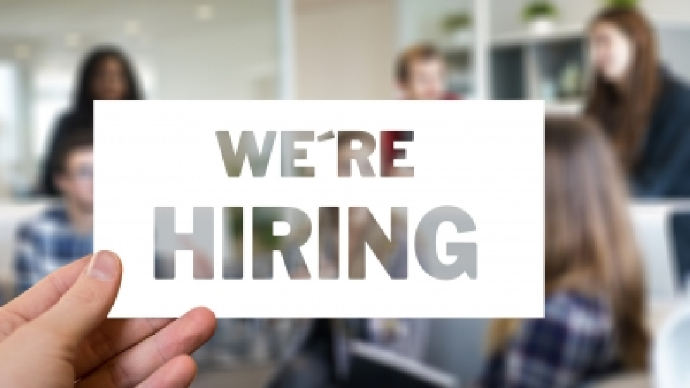 India saw 6% decline in hiring in Oct amid funding winter: Report