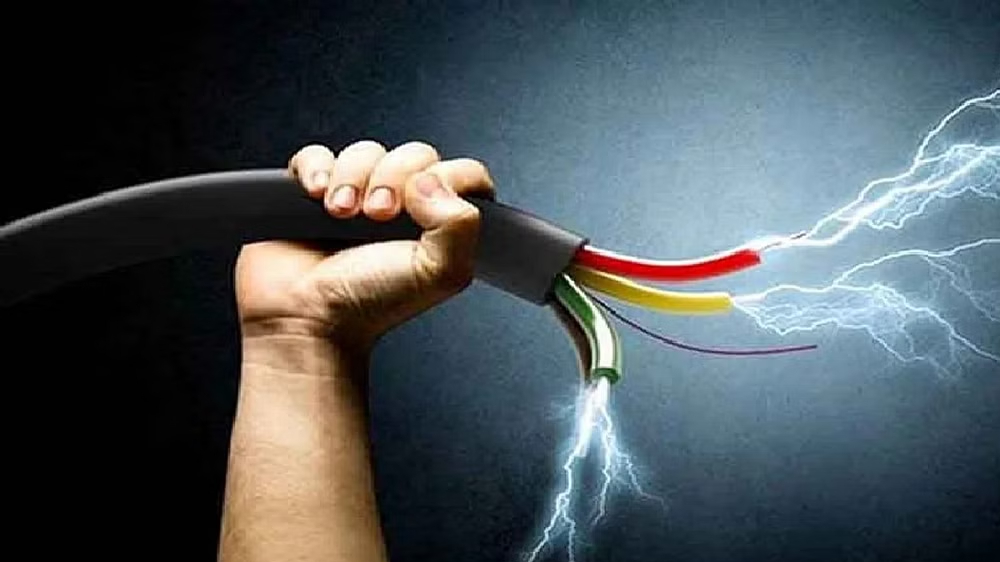 Farmer electrocuted by electric fence he put up to deter stray animals