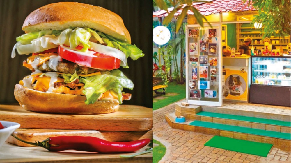 ‘Woof’ here it is: Paw-some cafés for you and your furry friend