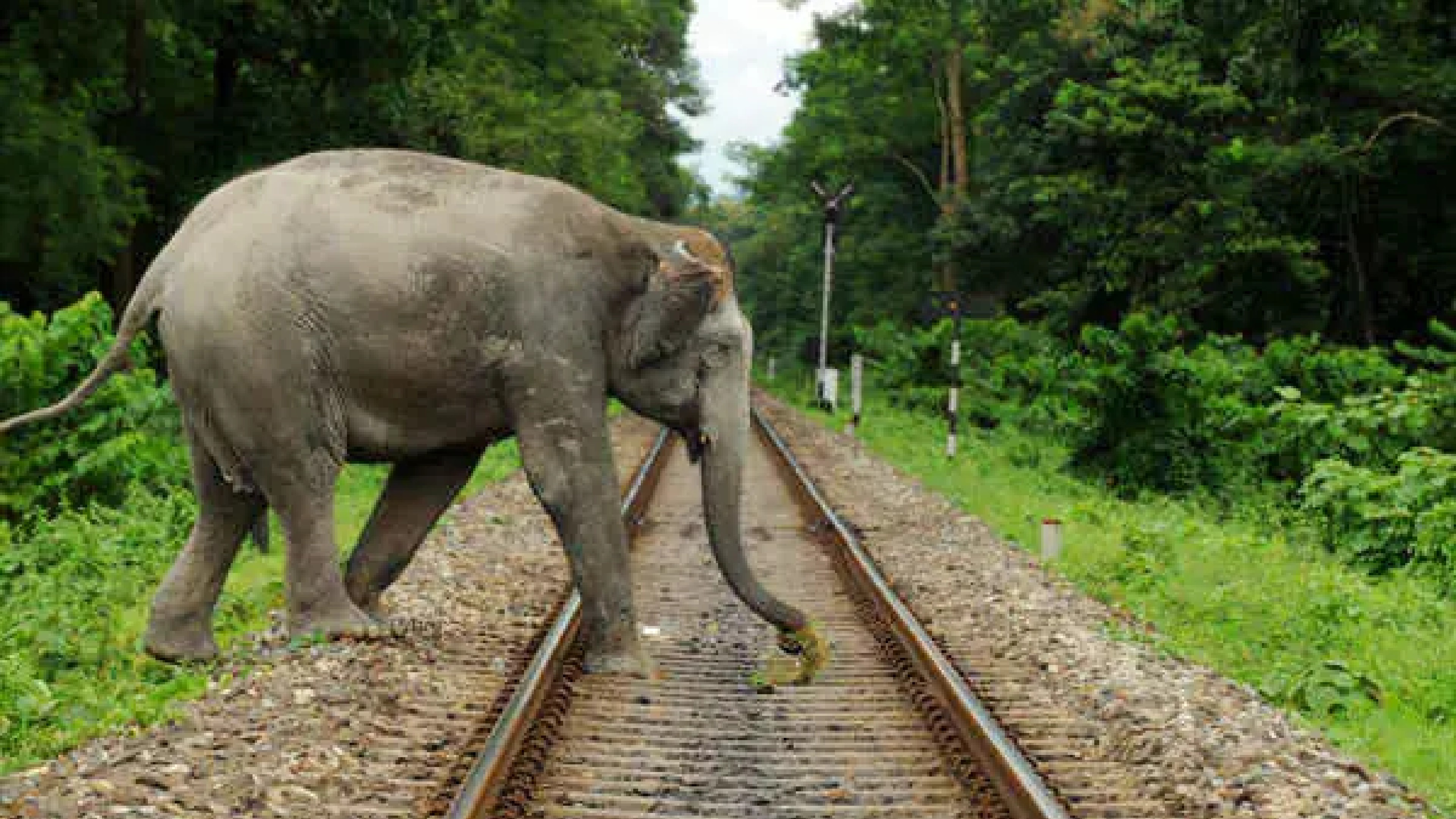 Maintain 30 kms speed between Kanjikode –Walayar stretch, SR told