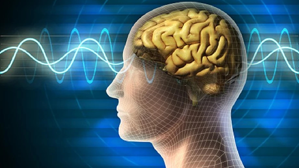 Diagnostic biomarker to detect rare brain condition found