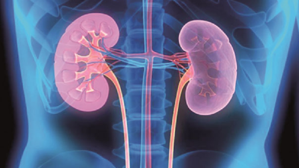 Long-term exposure to air pollution ups kidney disease risk