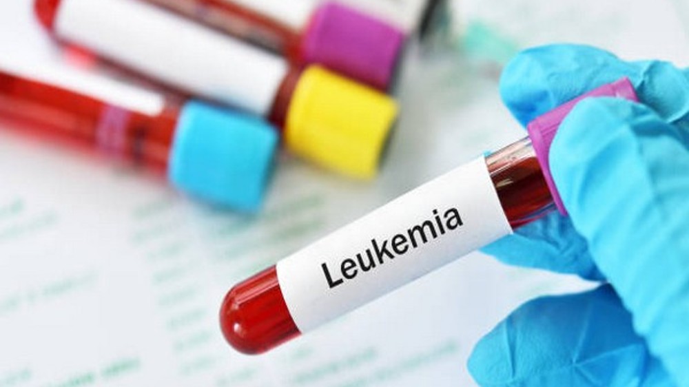 Three-medicine combination is beneficial in high-risk CLL: Study