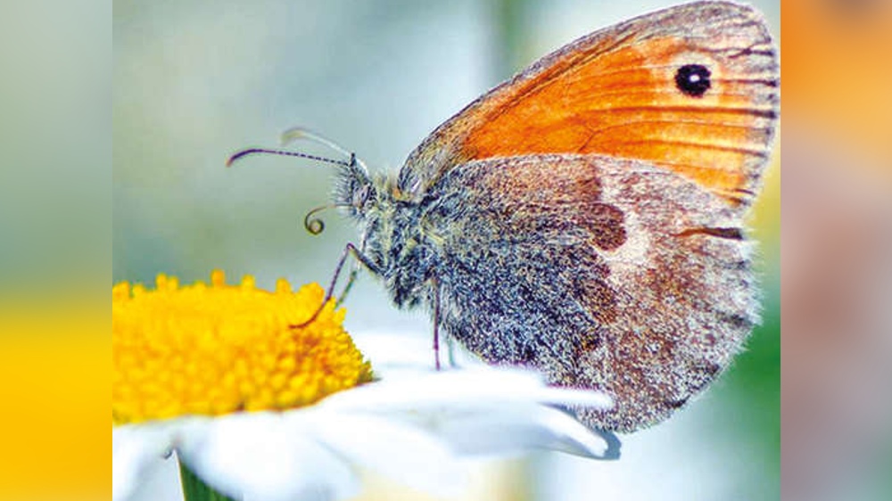 Maintaining Balance: Why is biodiversity so important? Maintaining Balance: Why is biodiversity so important?