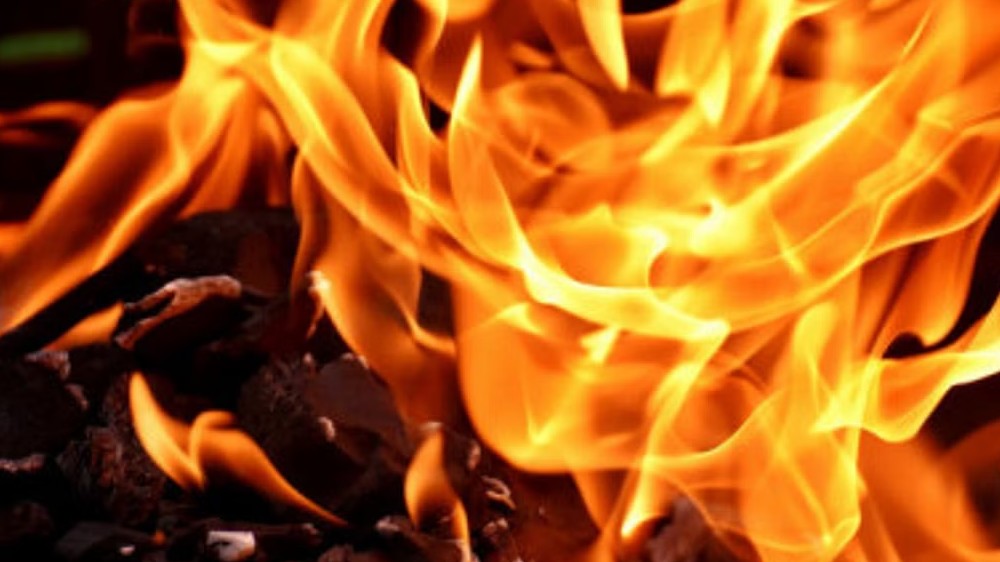 12 shops gutted in fire in Kolkata outskirts