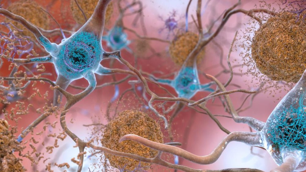 Protein found in brain may be new drug target for schizophrenia: Study